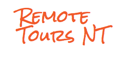 Remote-Tours.png#asset:23:url